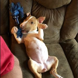 Meet your Posher, Jacob